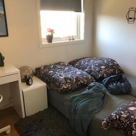 Fully Equipped And Bright Apartment In Paradis Apartment Bergen